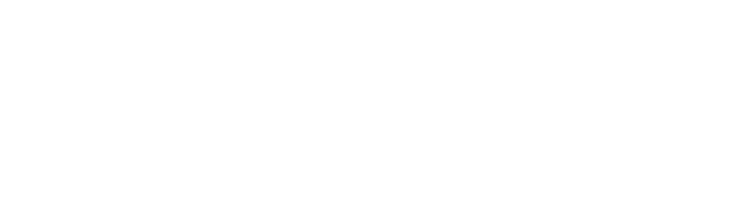 DartNode Logo